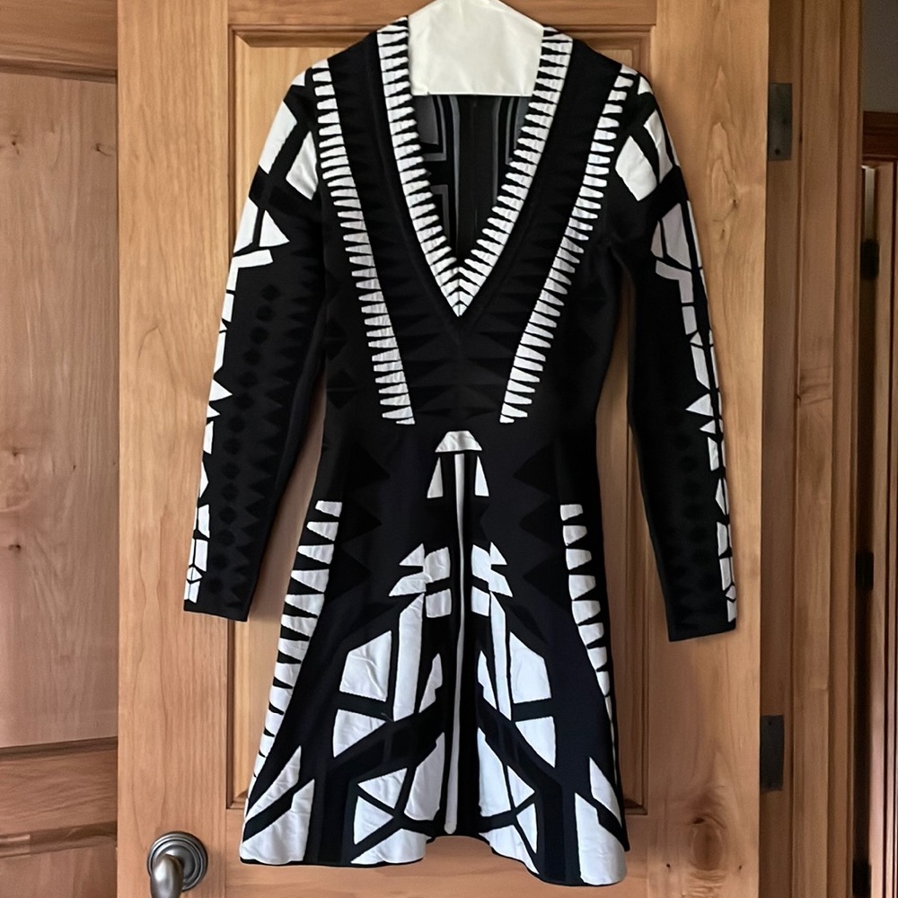 Parker fitted dress